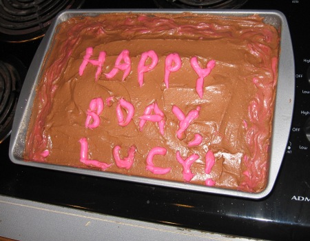 LUCY'S CHOCOLATE CAKE